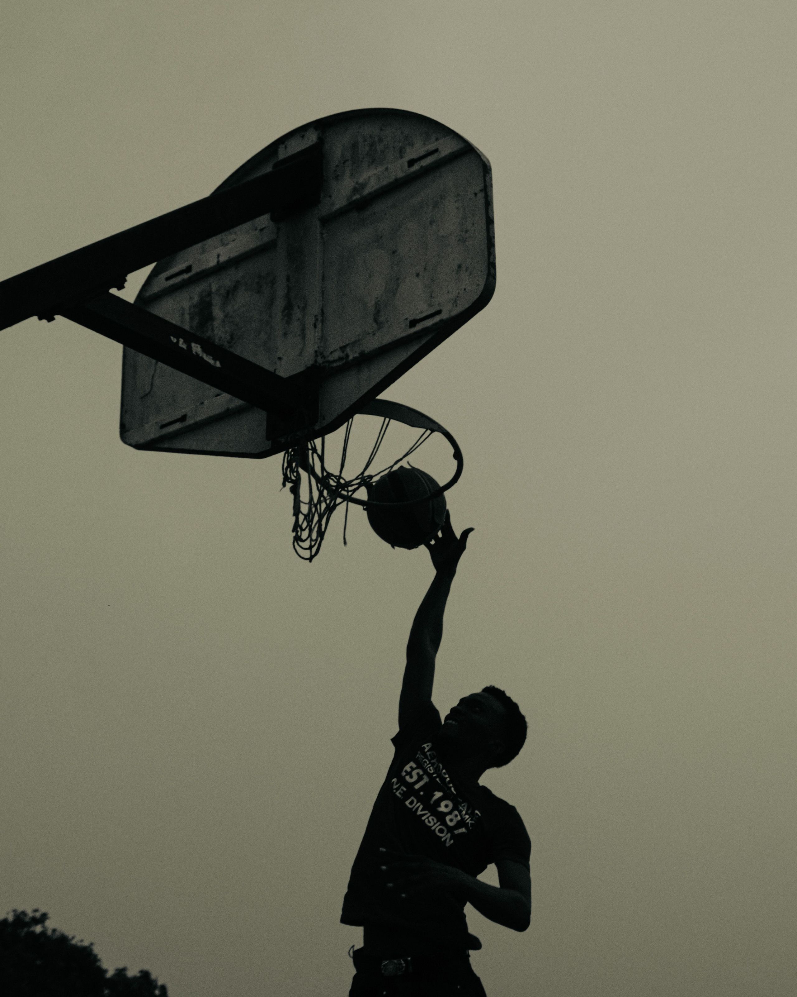 Jordan Williams — Basketball
